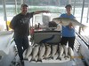 (07/21/2017) - Nice Striped Bass